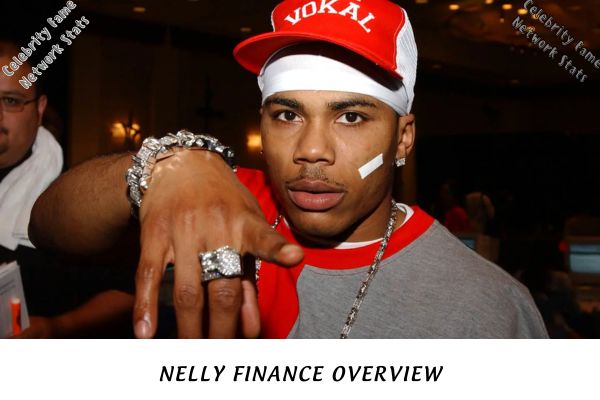 Nelly Finance Overview