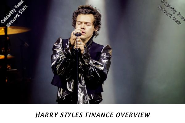 Harry Styles Finance Overview