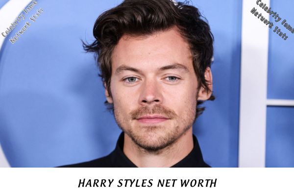 Harry Styles Net Worth